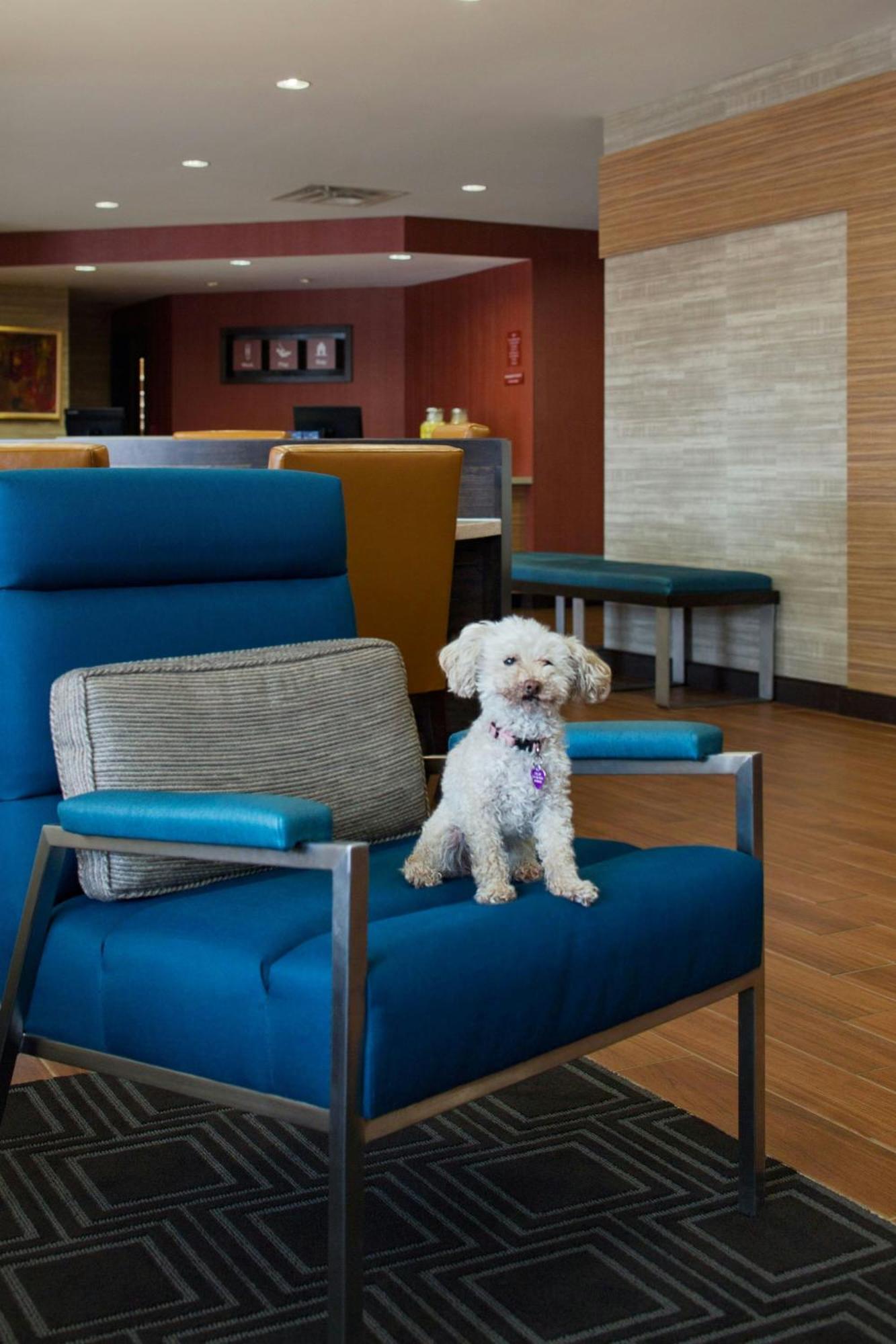 Towneplace Suites By Marriott Austin Round Rock Buitenkant foto